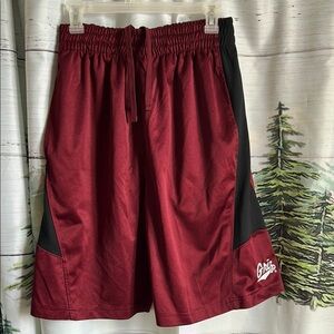 ProEdge by Knights Apparel Montana Grizzlies Logo Performance Shorts